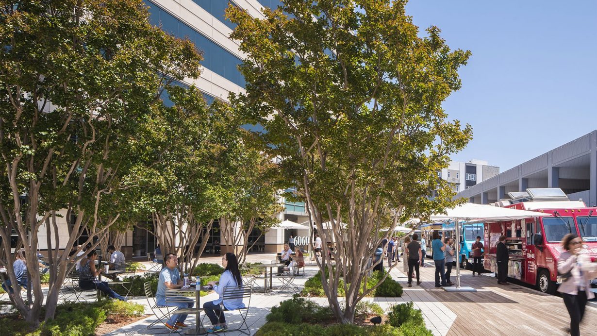 Playa District Campus