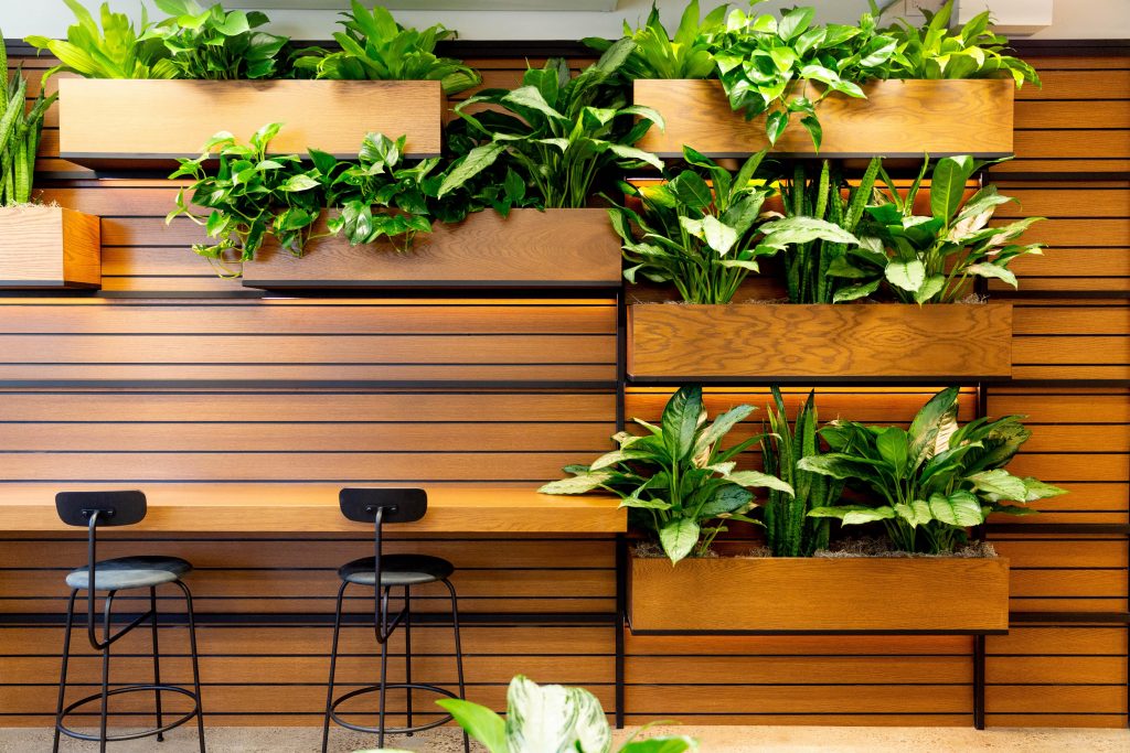 How are you celebrating Earth Day?||Plants have a number of benefits in the office.||Plants have a number of benefits in the office.||||||