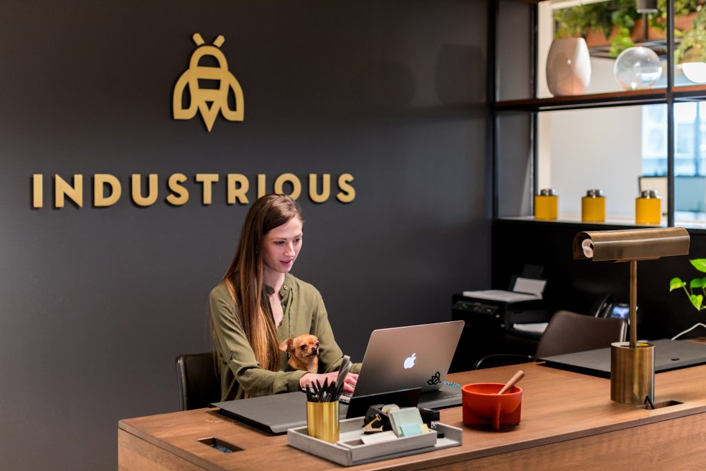 Celebrate National Take Your Dog to Work Day. You can bring your dog into many Industrious locations across the country.