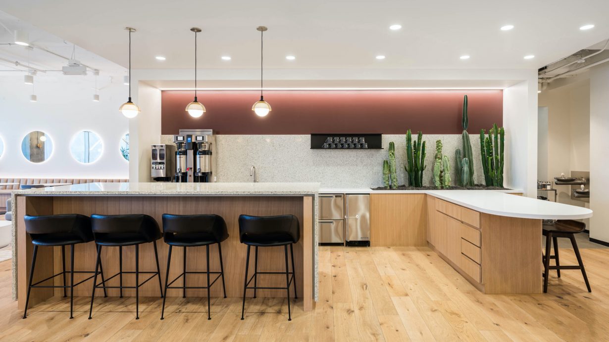 Cacti and other plants are placed throughout the location.