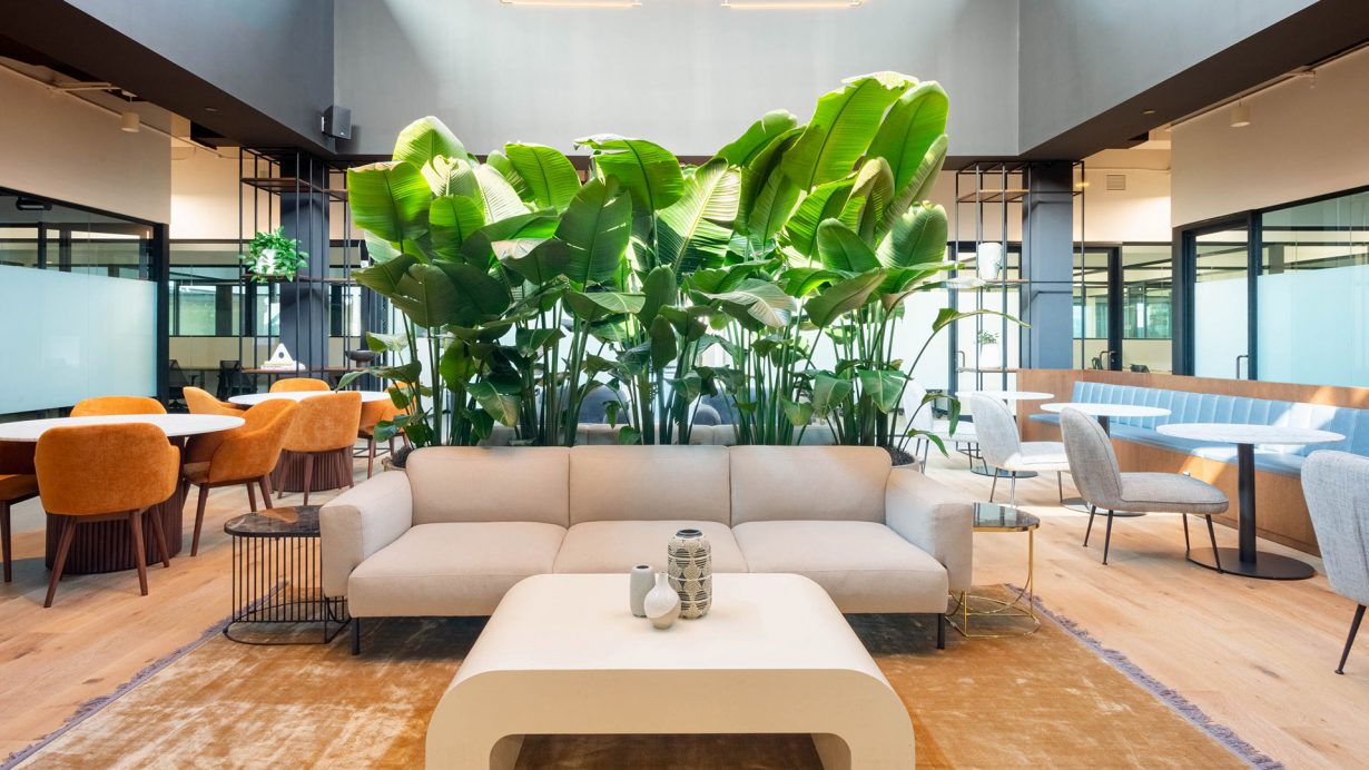 Plants have been shown to lower stress at work.