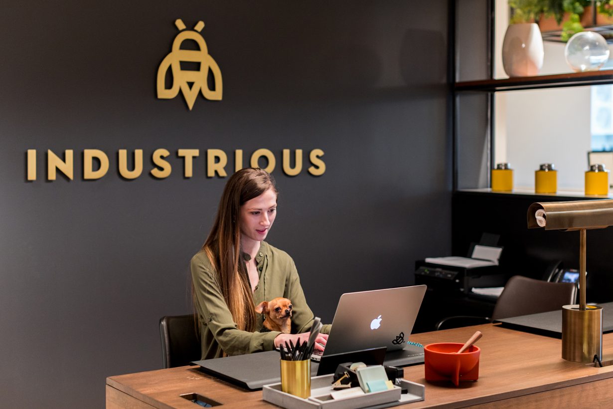 Members can bring their dog to work at Industrious Alexandria Carlyle Tower.